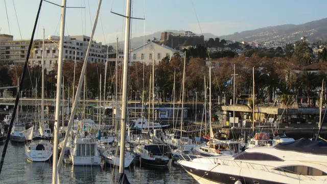 Boats moored in the Marina do Funchal, where Madeira's whale and dolphin trips set off